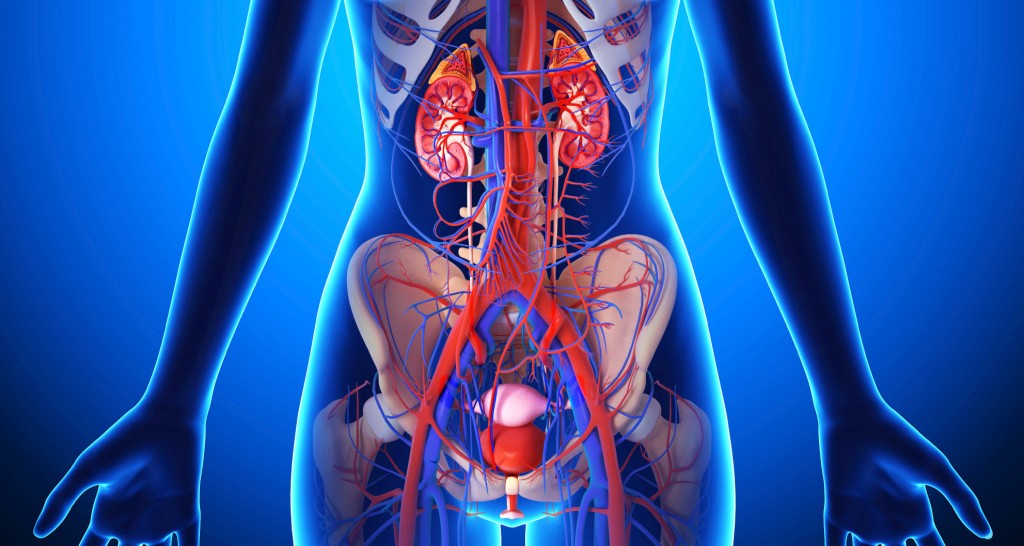 Incontinence Urology Specialists of