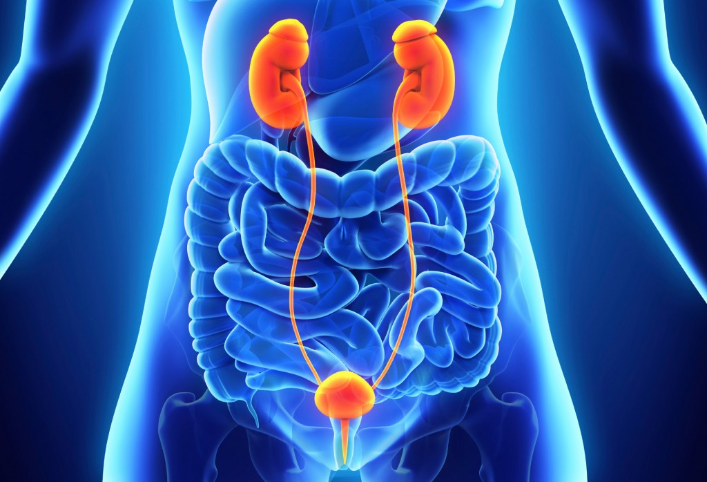 Bladder Cancer Urology Specialists of
