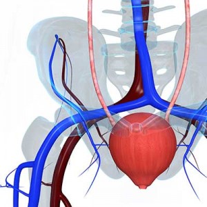 overactive-bladder